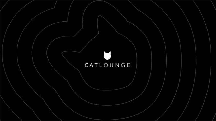 CAT LOUNGE 2021: Das erste Event zu Ehren des Cat Contents